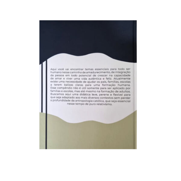 Livro Compêndio De Alfabetização Afetiva - Image 3